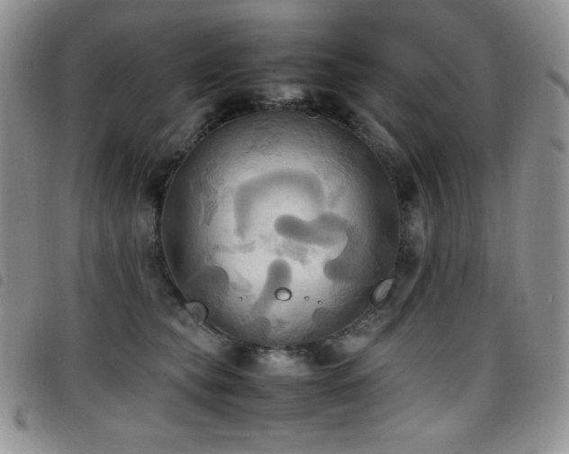 X0000099230565200804241455