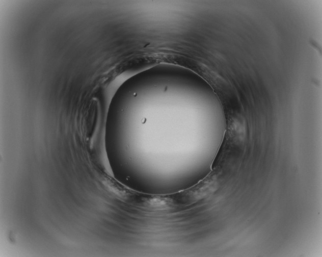 X0000099230566200804241455