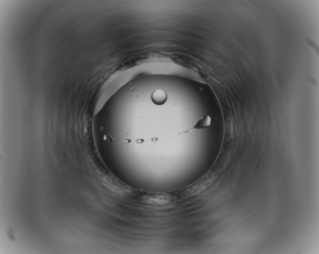 X0000099230567200804241455