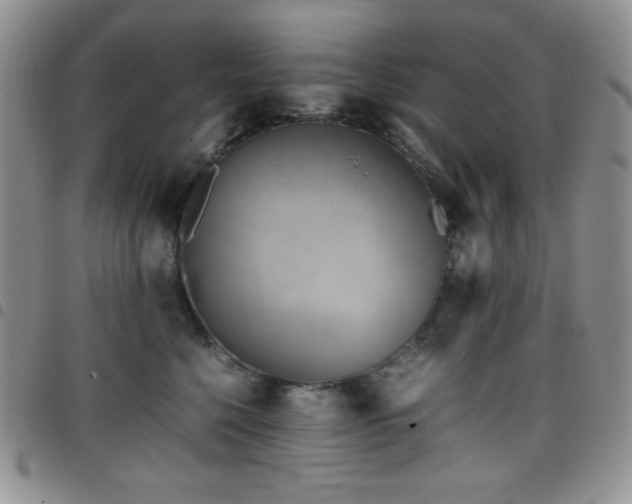 X0000099230568200804241455