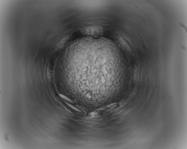 X0000099230569200804241455