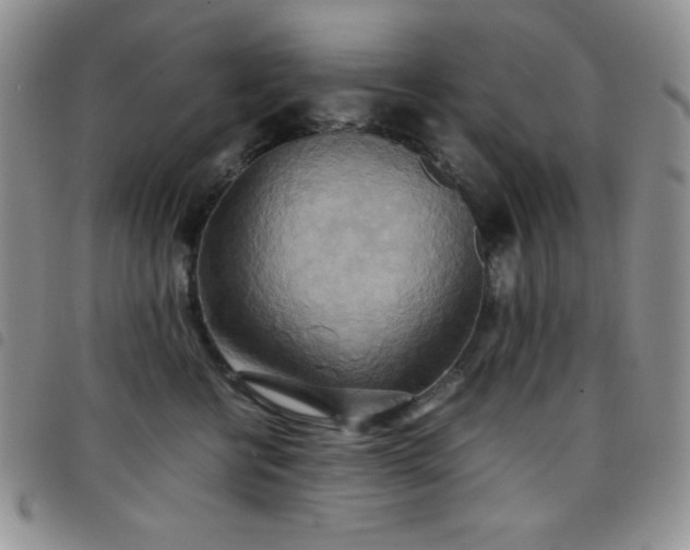 X0000099230570200804241455