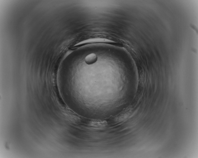 X0000099230571200804241455