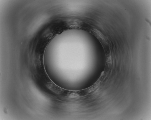 X0000099230572200804241455