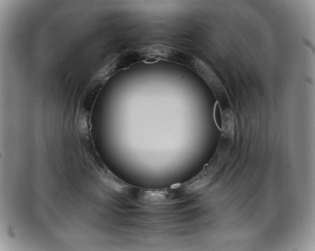 X0000099230573200804241455