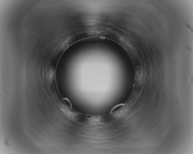 X0000099230574200804241455