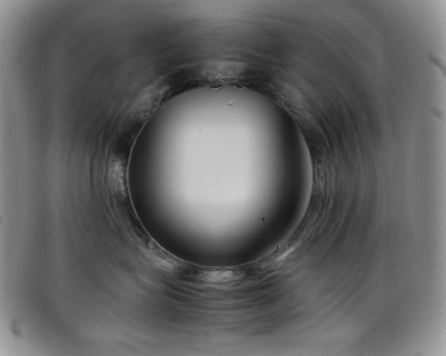 X0000099230575200804241455