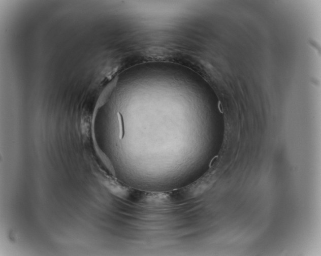 X0000099230576200804241455