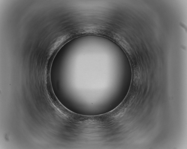 X0000099230578200804241454