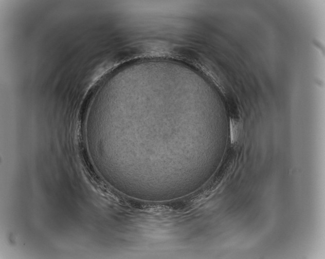 X0000099230579200804241454