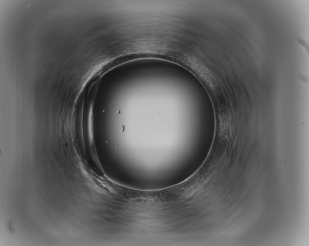 X0000099230580200804241454