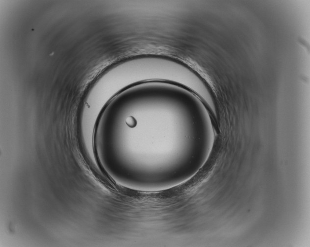 X0000099230581200804241454