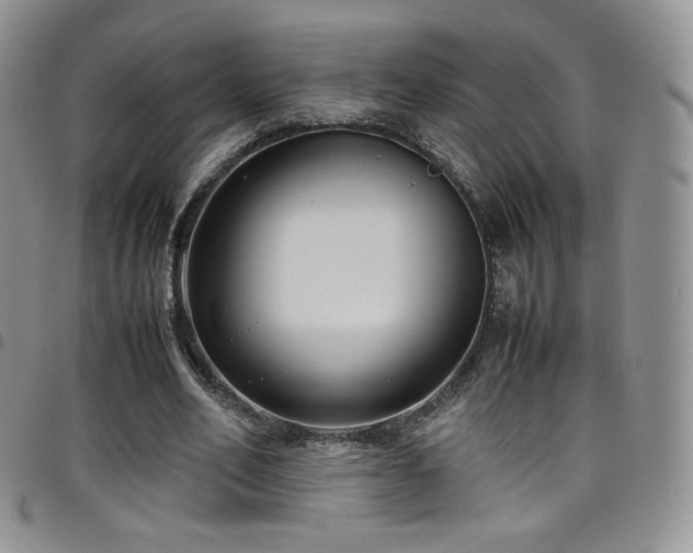 X0000099230582200804241454