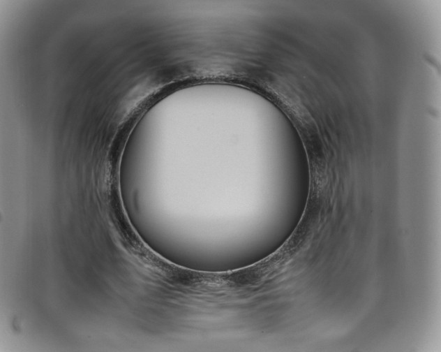 X0000099230583200804241454