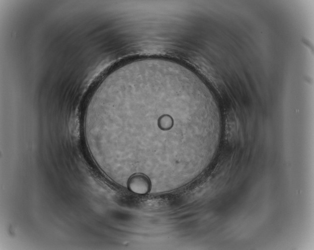 X0000099230584200804241454