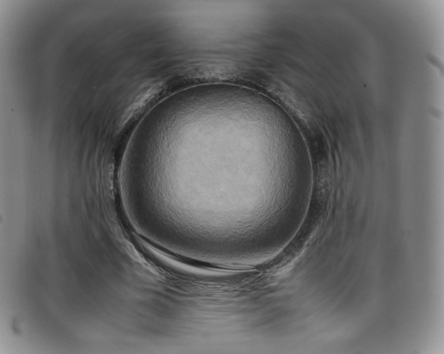 X0000099230585200804241454