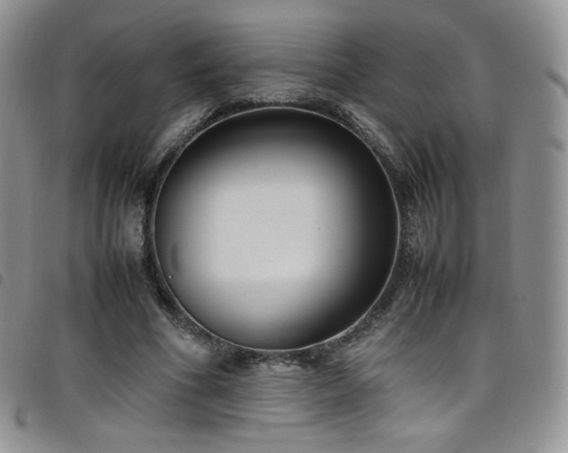 X0000099230586200804241454