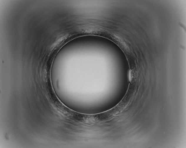 X0000099230587200804241454