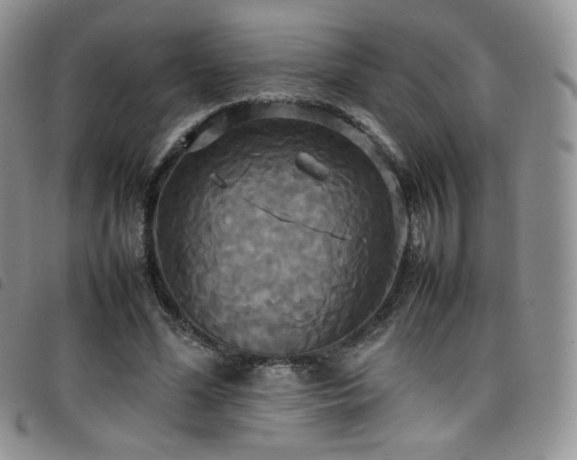 X0000099230588200804241454