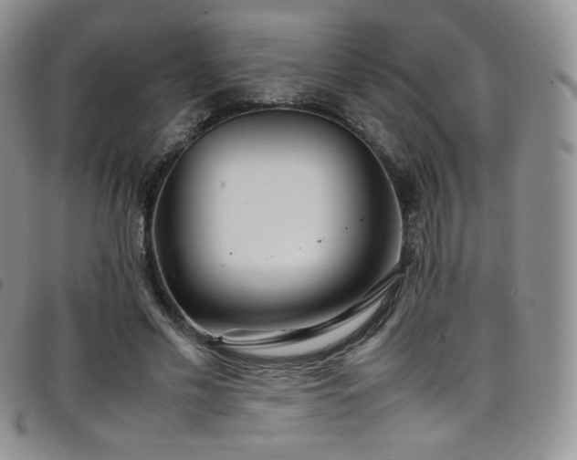 X0000099230589200804241454