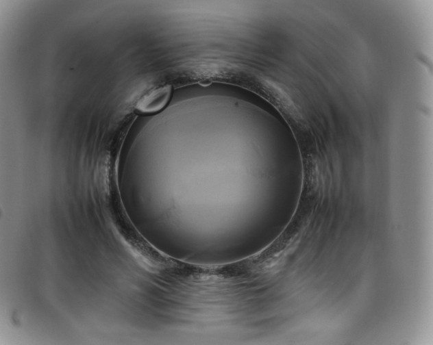 X0000099230590200804241454