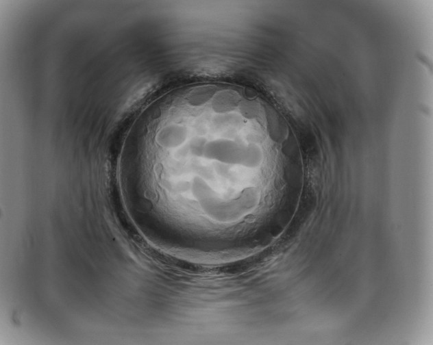 X0000099230591200804241454