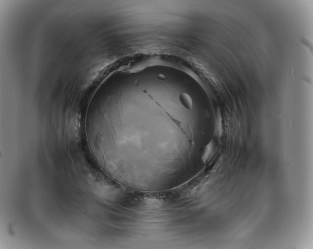 X0000099230592200804241454