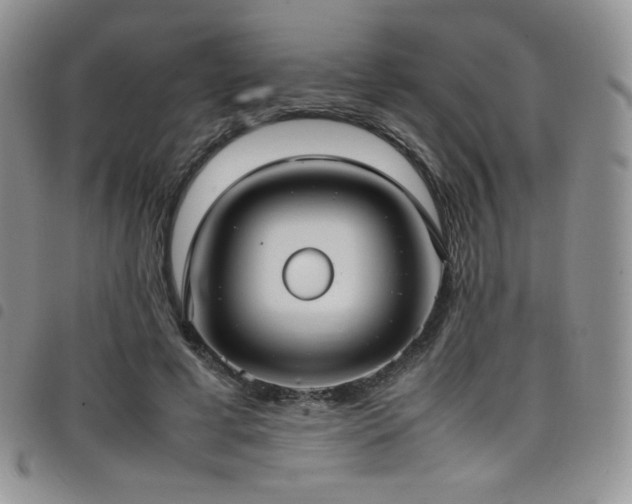 X0000099230593200804241454