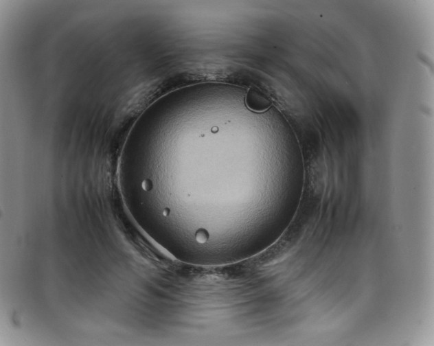 X0000099230594200804241454