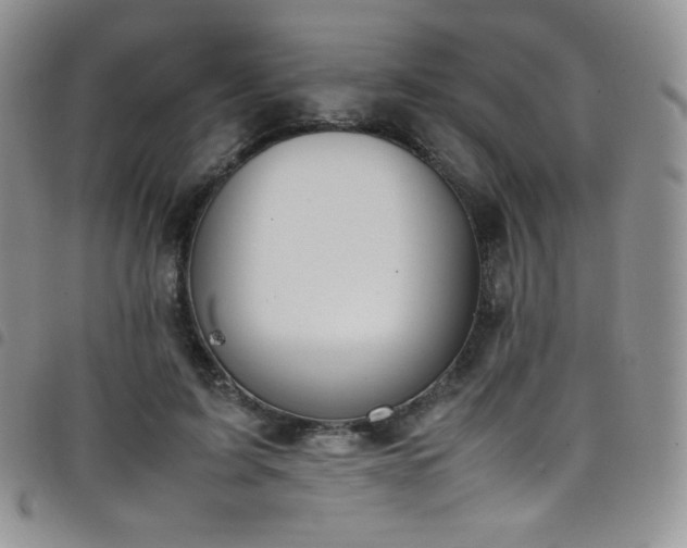 X0000099230595200804241454