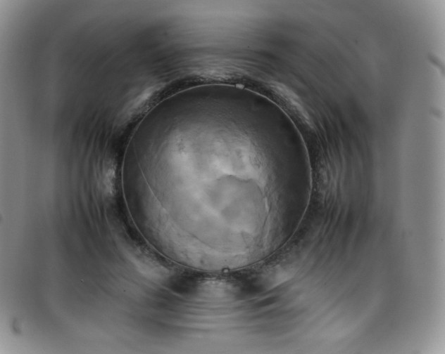 X0000099230596200804241454