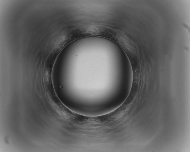 X0000099230597200804241454