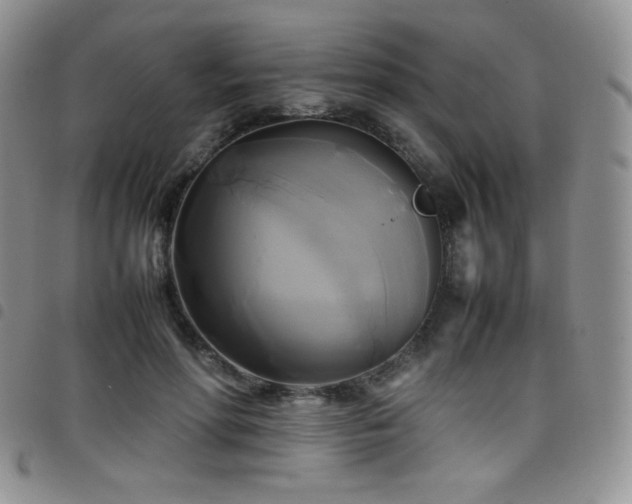 X0000099230598200804241454