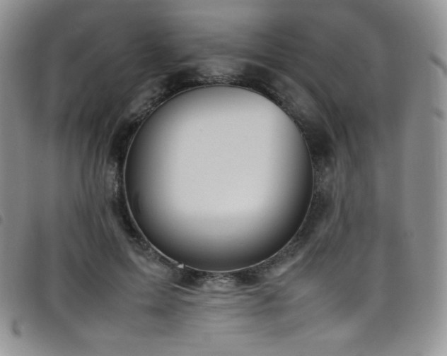 X0000099230599200804241454