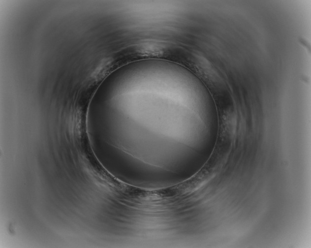 X0000099230600200804241454