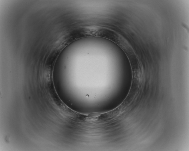 X0000099230602200804241454