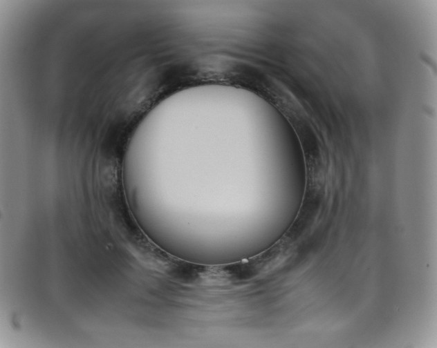 X0000099230603200804241454