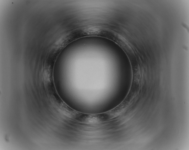 X0000099230604200804241454