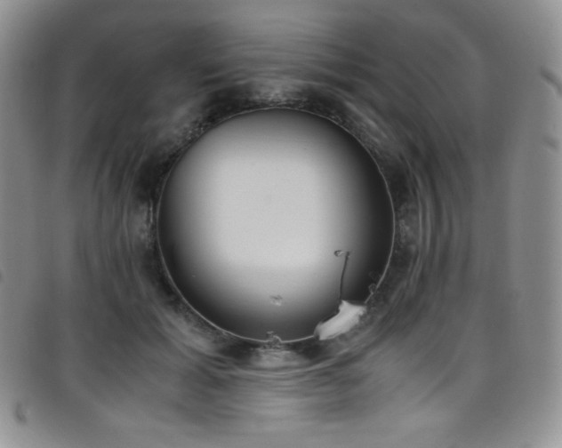 X0000099230605200804241454