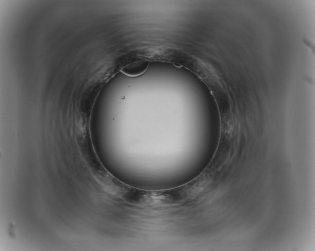 X0000099230607200804241454