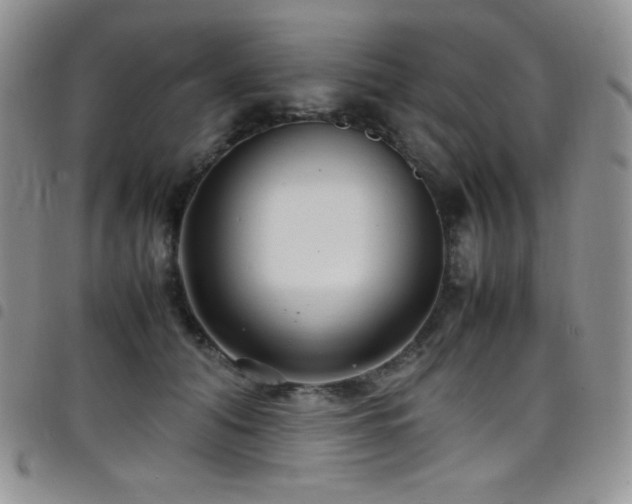 X0000099230608200804241454