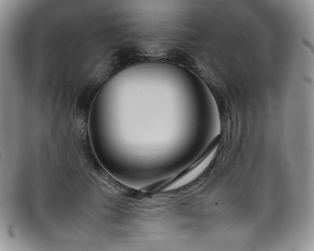 X0000099230609200804241454