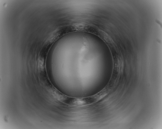 X0000099230610200804241454