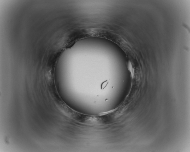 X0000099230611200804241454