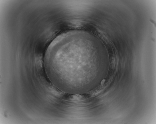 X0000099230612200804241454