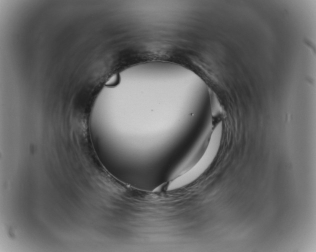 X0000099230613200804241454