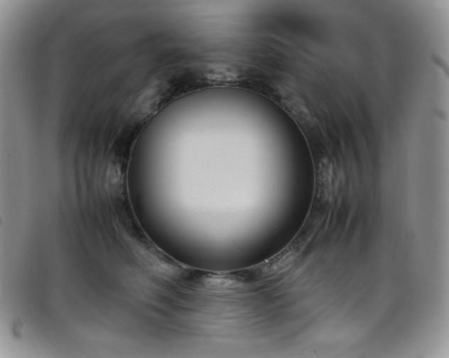 X0000099230614200804241454