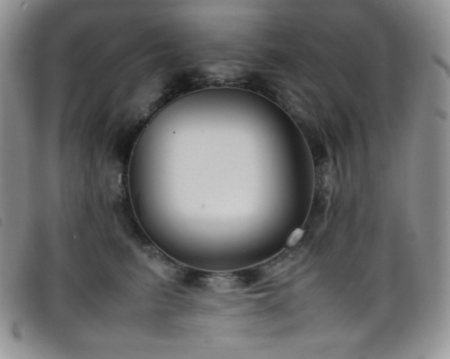 X0000099230615200804241454