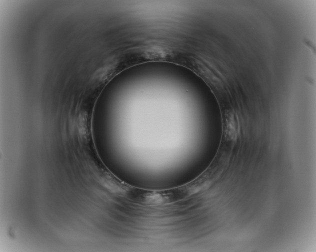 X0000099230616200804241454