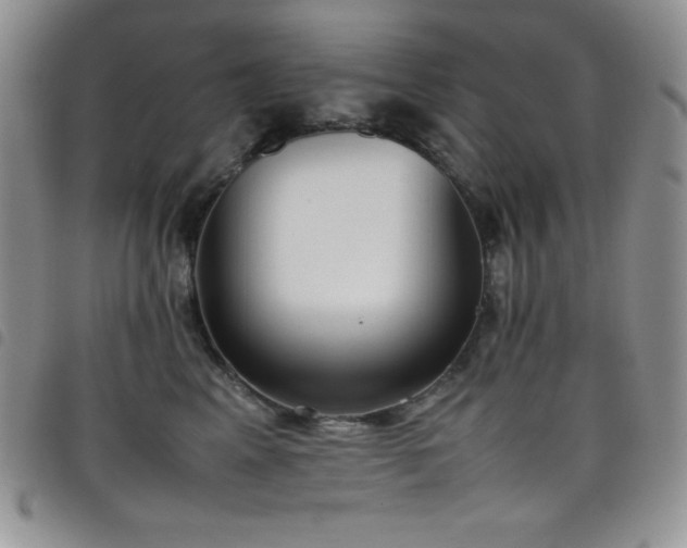 X0000099230617200804241454